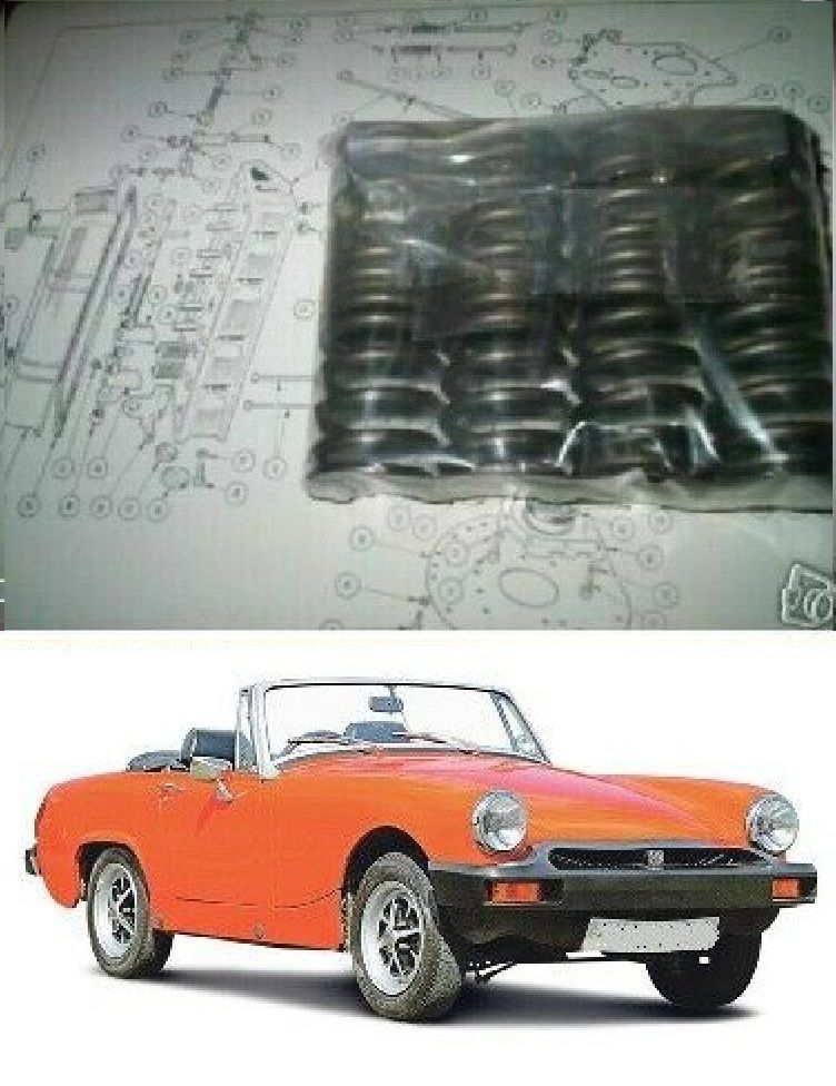 ENGINE VALVE SPRINGS x8 (MG Midget 1500) (Dec 1974- 79)